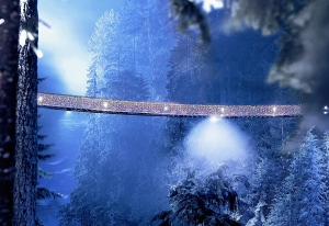 Capilano Bridge Christmas Lights